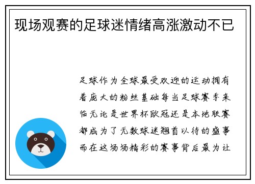 现场观赛的足球迷情绪高涨激动不已